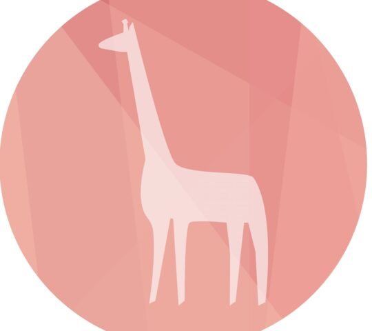 Giraffe Rosé (La Jirafa Rosa)