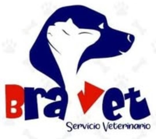 Bra Vet Servicios Veterinarios