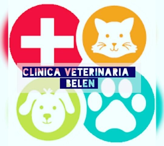 Clínica Veterinaria Belén Clínica Veterinaria Belén