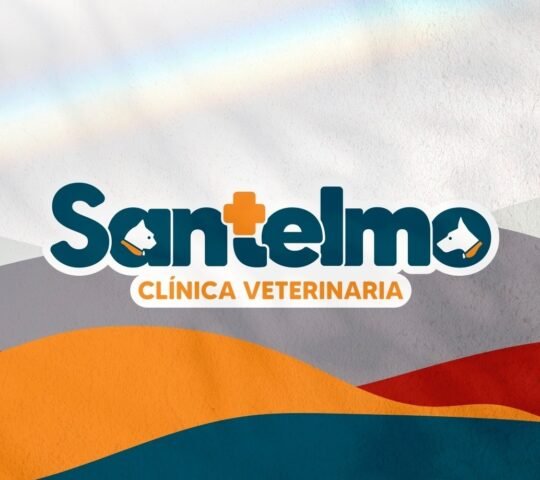 Clínica Veterinaria San Telmo Clínica Veterinaria San Telmo