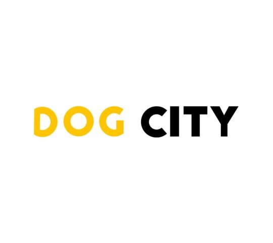 Dog City Peluquería Canina Dog City Peluquería Canina