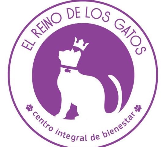 El Reino De Los Gatos