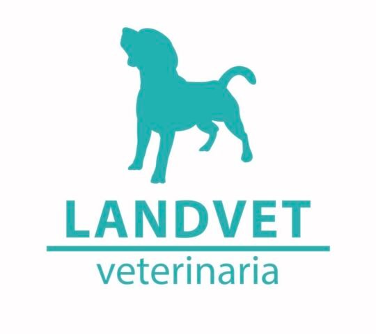Landvet
