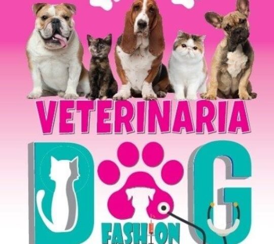 Veterinaria Dog Fashion