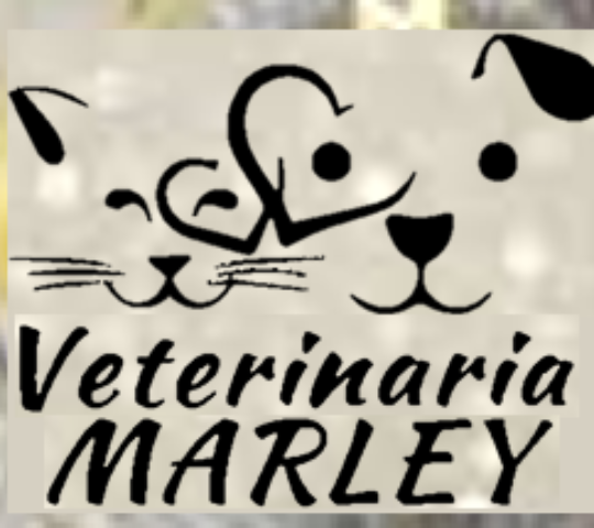 Veterinaria Marley Veterinaria Marley