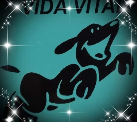 Veterinaria Vida Vital Veterinaria Vida Vital