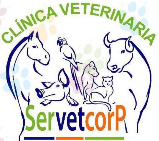 Servetcorp