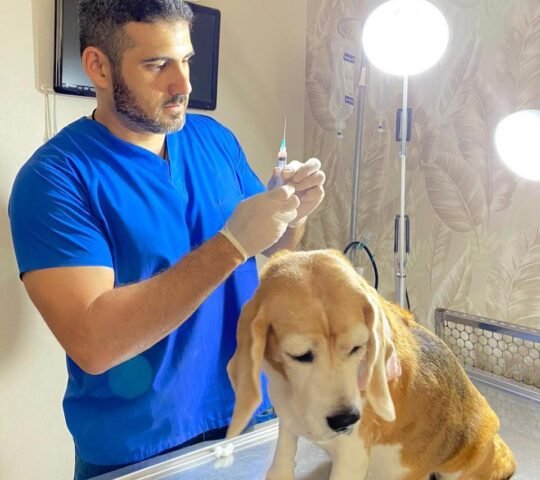 Consultorio Veterinario Dr. Eduardo Roca