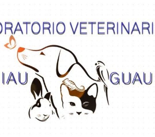 Laboratorio Veterinario Miau Guau