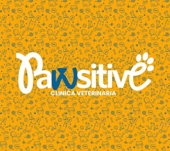 Pawsitive Clinica Veterinaria