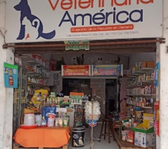 Veterinaria América