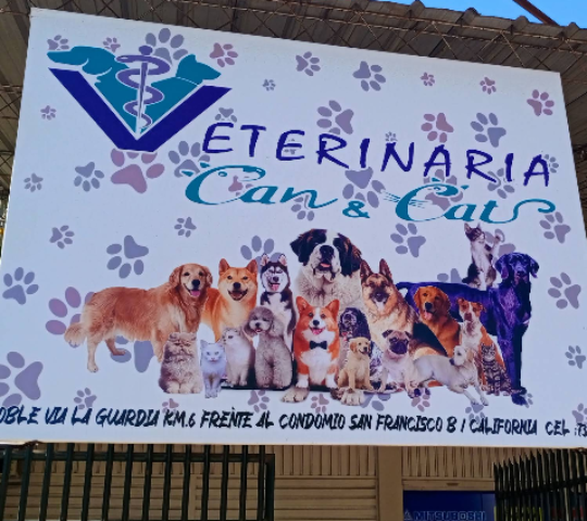 Veterinaria Can & Cat